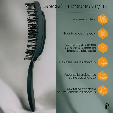 Duo All-In-One : Brosse Démêlante Curvent & Pinces Croco-Fix