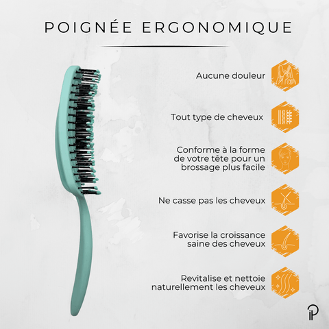 Duo All-In-One : Brosse Démêlante Curvent & Pinces Croco-Fix